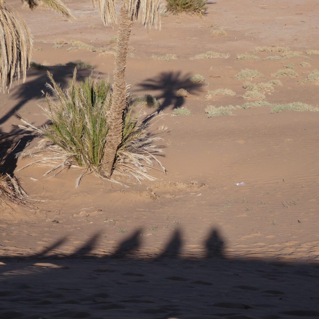 OUARZAZATE